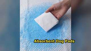 Super Absorbent Dog Pads Wholesale