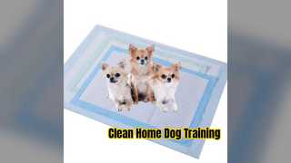 Custom Pet Training Pads For Dogs