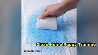 Super Absorbent Dog Training Pads Custom Color