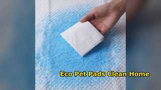 Eco Pet Pads: Absorbent & Degradable Training Mats